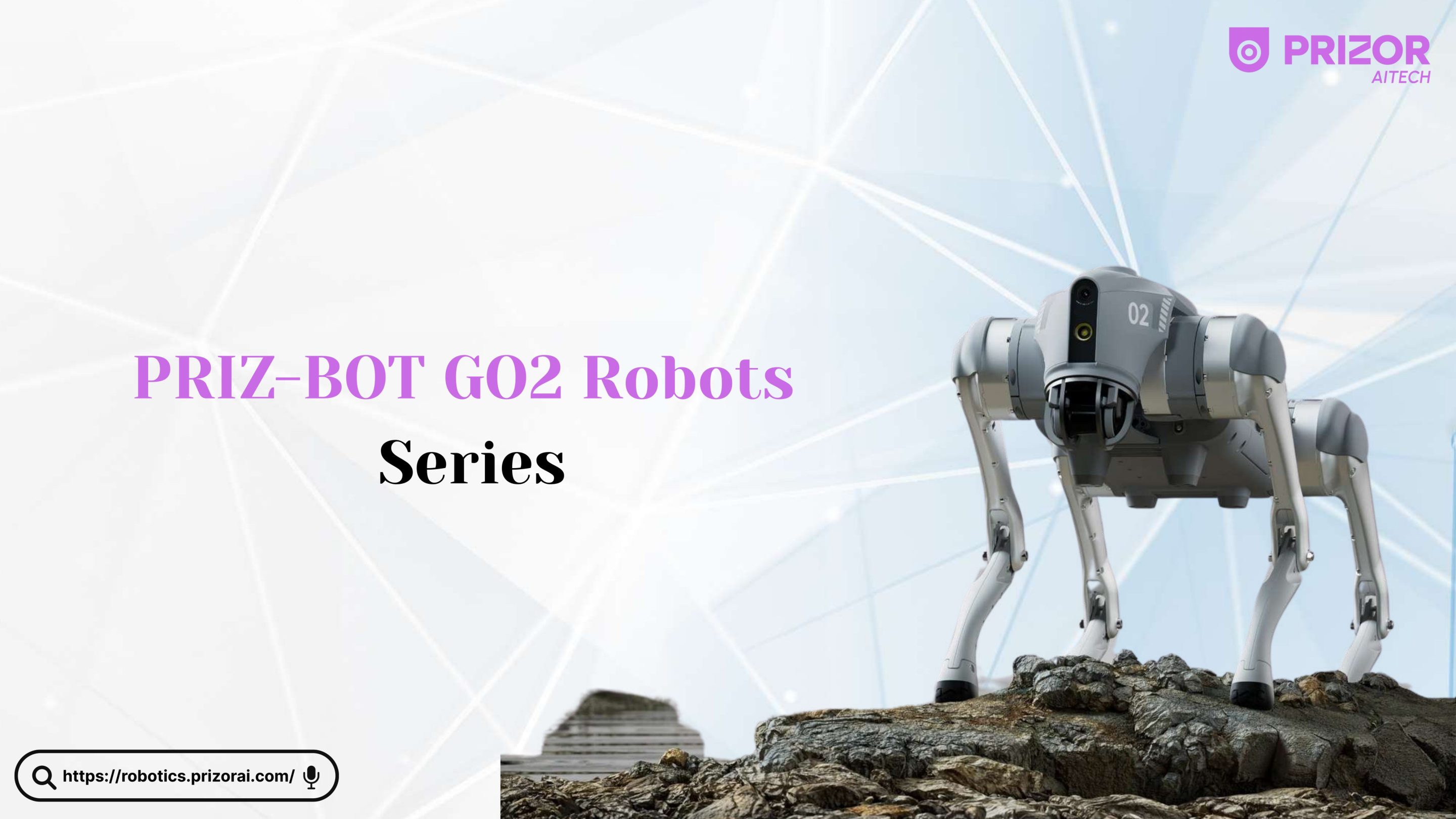 GO2 Robot Series catalog cover